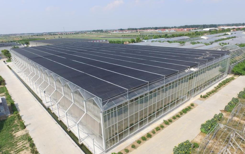 Juxiang Leafy Vegetable Container House