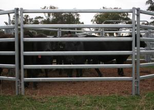 Quality 6 Bar Demountable Horse Round Yard Panels Security Portable Round Pen wholesale