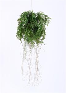 Quality 35CM Hanging Pot Plants , Hanging Basket Plants Easy Care Non Toxic Home Decor wholesale