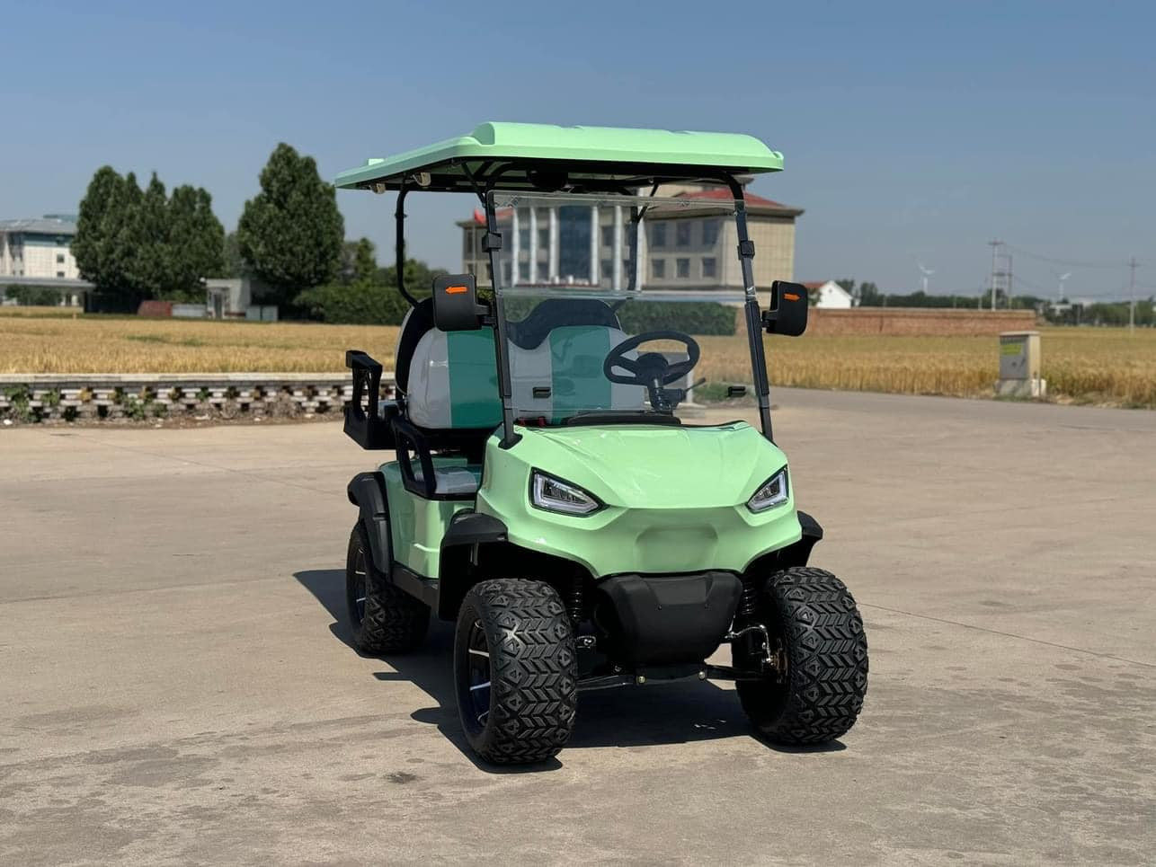Bx 2 2 Seat Sightseeing Bus Club Cart Custom Electric Golf Buggy Hunting Cart
