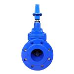 DN50 Rubber Resilient Seated Gate Valve Flanged End