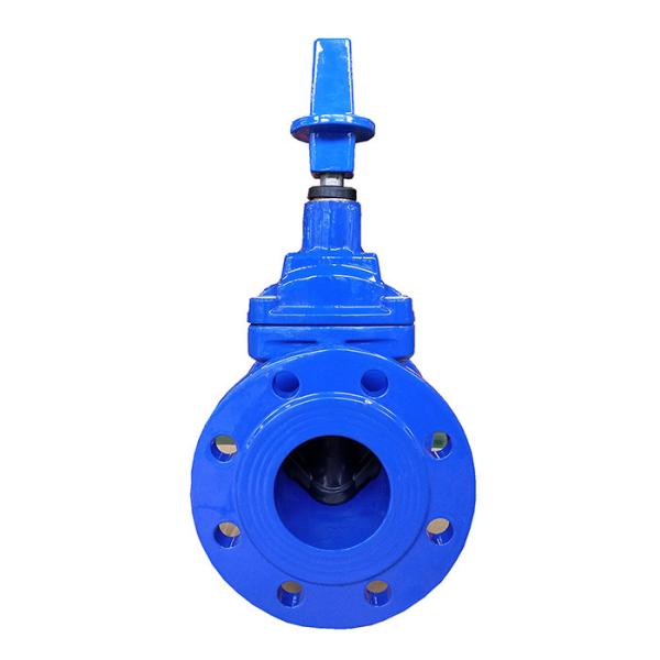 Cheap DN50 Rubber Resilient Seated Gate Valve Flanged End for sale