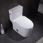 Ada American Standard Floor Mounted Toilet One Piece Water Closet MAP 800G