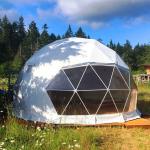Luxury Camping Event White Color Steel Tube Geodesic Dome Tent For Sale