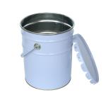 Flower Lid Paint Pail Bucket Cylindrical 20L Metal Bucket