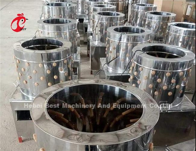 Automatic Chicken Feather Removal Machine 180 Birds Per Hour And 500 Birds Per Hour Ada