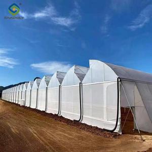 Quality Double Po Film Gothic High Tunnel Greenhouse High Strength Anticorrosive wholesale