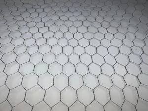 Quality 30mm Plaster Welded Galvanised Steel Chicken Wire 0.7mm Diameter wholesale
