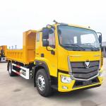 Foton 10tons dump truck light cargo truck small tipper truck left and right hand