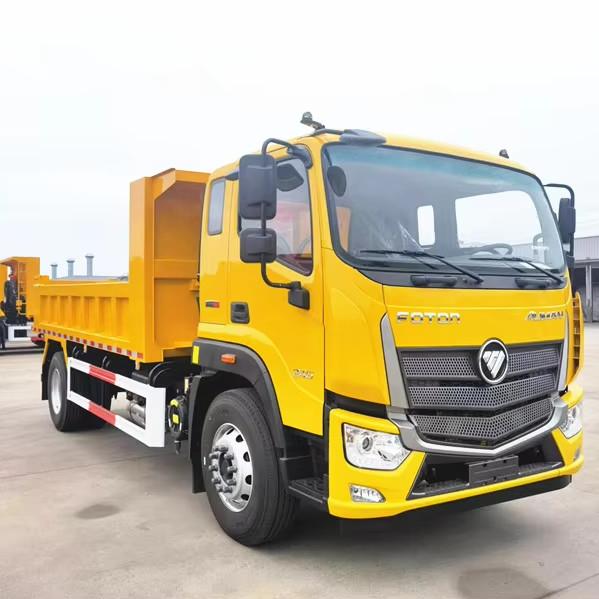 Foton 10tons dump truck light cargo truck small tipper truck left and right hand