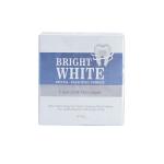 OEM Mint Teeth Whitening Powder Stain Remover Dental Bleaching Powder