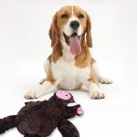 Washable PP Fiber Filling Interactive Dog Toys/pet toys