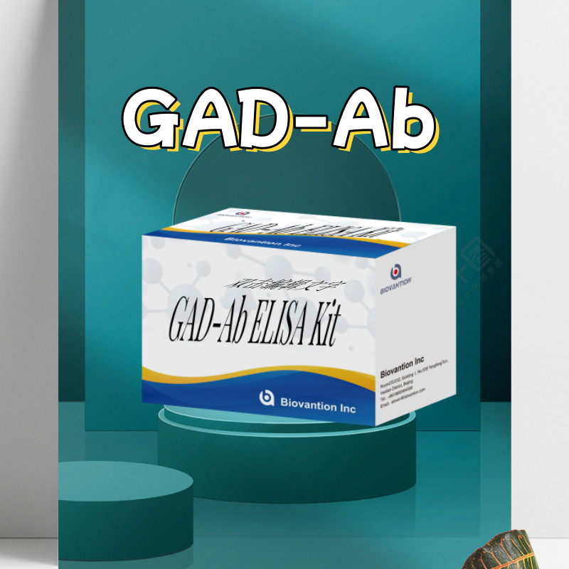 Glutamic Acid Decarboxylase Antibody Medical Diagnosis Enzyme-Linked Immunosorbent Assay Test Kit