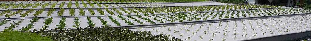 Humidity-Controlled Planting Facility by Juxiang