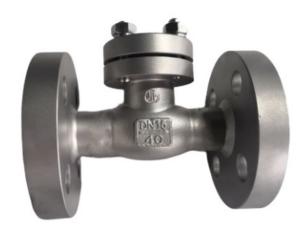 Quality PCTFE Disc Seal PN1.6-6.4 Pressure Check Valve DN10-250mm wholesale