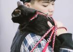 Cat Vest Harness And Leash Set To Outdoor Walking Nylon Pet Rope Cat Chest Strap
