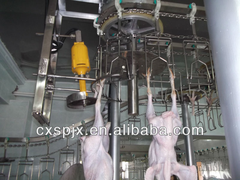 Meat Processing Machinery for Poultry Processing Automatic Chicken Feet Cutting Machine