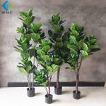 Green Artificial Ficus Plant , Ficus Lyrata Plant For Home Decoration R020002
