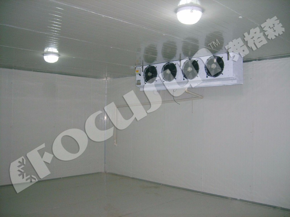 Compressor Refrigeration System Frozen Cold Room for Frozen Product Preservation