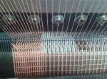 HDPE Agricultural Crop Plant Protection Netting , Red Uv Treated Anti Wind Net