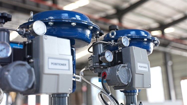 Customized Tomato Paste Production - Reliable Equipment with 1 Year Guarantee