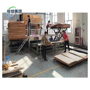 Quality Heavy Industry Fully Automatic Veneer Wood Wall Panel Sheet Desiccation wholesale