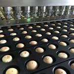 Industry Cream Jam Chocolate Filling Machine Biscuit Injection Machine