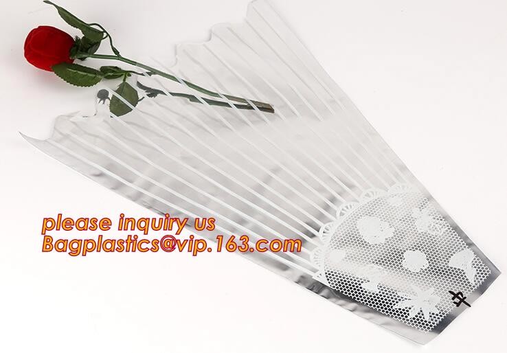 Biodegradable Resealable Clear Plastic Cd Sleeves album Packaging Bags,CD bag PP bag CD protective film for disk bag pac