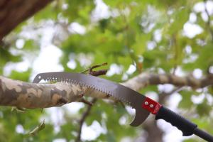Quality 60ft 70ft 80ft Telescopic Harvest Pole Carbon Fiber Extension Saw Pole 15m 18m 21m wholesale