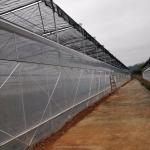 Easy Assembled Tomato Agricultural Kit Frame Greenhouse With Super Strong