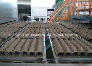 Quality Raw Material Waste Paper Egg Tray Production Line Fruit Tray Making Machine wholesale