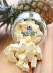 Food Lyophilizer Freeze Dryer 2Kg-4Kg Fully Stainless Steel Mini
