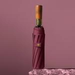Windproof 10-Ribbed Metal Shaft Automatic Open / Close Travel Umbrella