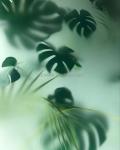Hospital Hall Partition Decoration Obscure Acid Etched Frosted Glass for Shower