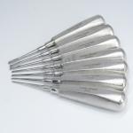 Stainless Steel Dental Surgical Instruments 7 Picece Molar Extraction Dental