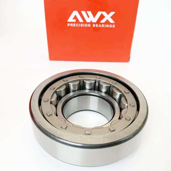 Single Row Double Row Cylindrical Roller Bearing NJ2217E NJ2218E NJ2219E NJ2220E