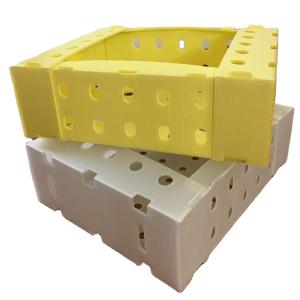 Quality Fruit Corrugated Plastic Packaging Boxes Environmental Protection wholesale