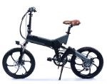 Pedal Assist 20 Inch Aluminum Fat Tire Ebikes 250 Watt