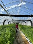 Medical Growing Blackout Light Dep Green House 9X32M Tunnel Greenhouse