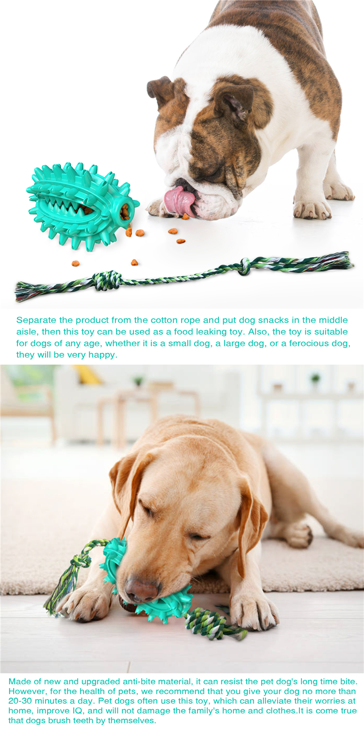 Pet Supply Wholesale Dogs Toothbrush Cleaning Durable Pet Chew Toy With Rope Molar Ball