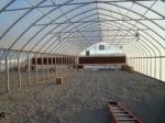 Agriculture Plants Growing Steel Frame Single Span PE Film Greenhouse For