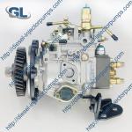 Fuel Injection Pump VE4/11F1125RNP2544 104641-8171 F 01G 09W 0GF 32A6510450