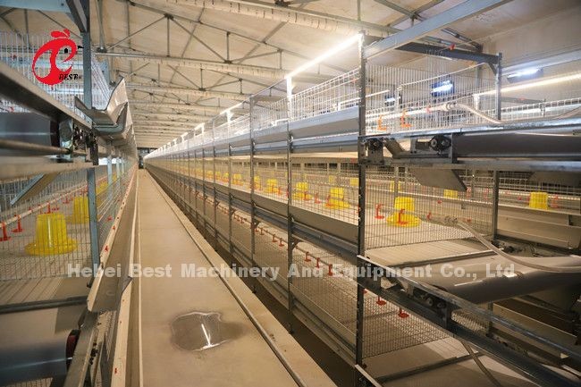Automatic 4 Tiers H Type Broiler Chicken Cage For Chicken Farm Ada