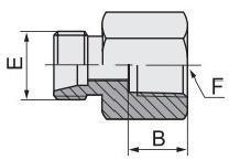 Hydraulic Tube Fittings OEM ODM Factory Supply BSPT Female 5CT 5CT-Rn