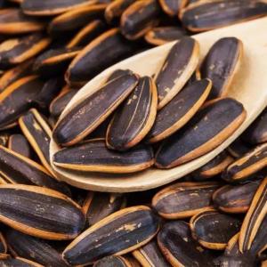 Quality Snacks Factory Process caramel flavor Caramel Boiled Salted Roasted Sunflower Seeds wholesale