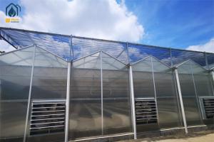 Quality High Yield Farming Polycarbonate Greenhouse Fruit And Vegetable Greenhouse wholesale