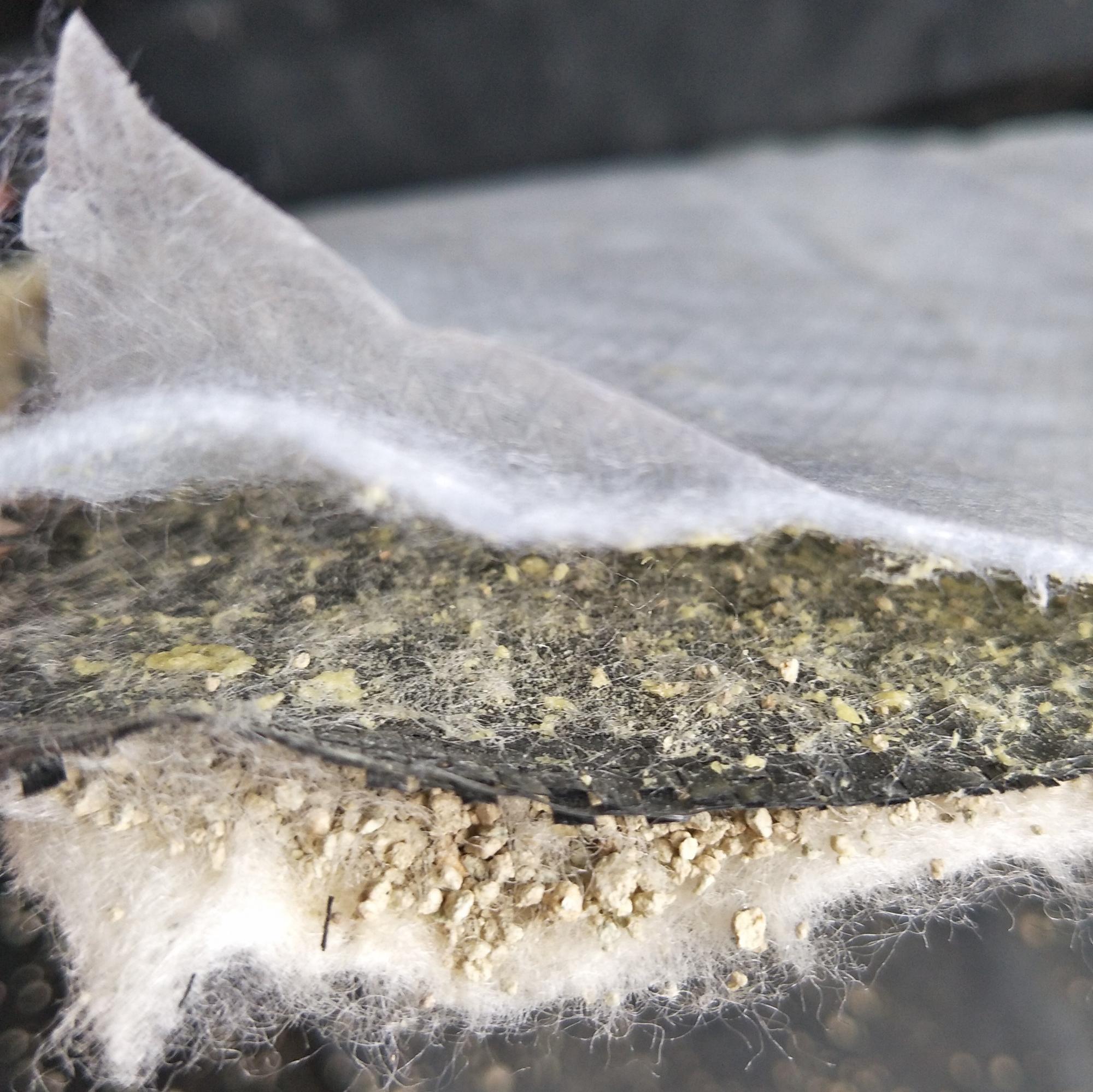 Five-Layer Bentonite Waterproof Blanket GCL for Artificial Lake Anti-Seepage