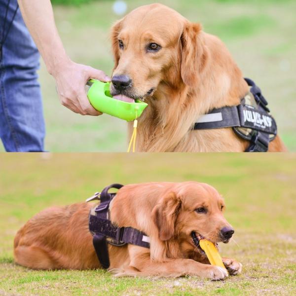 Cheap  				Dog Water Bottle for Walking 	         for sale