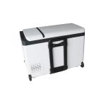 Trolley Type 30L Cooling Freezing Car Mounted Freezer
