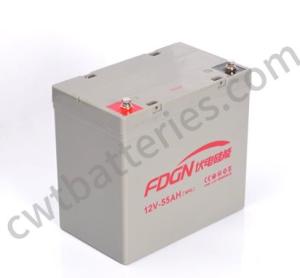 Quality Energy Storage NPG Solar Batteries Cell 12V 55Ah For UPS Off Grid Systems wholesale